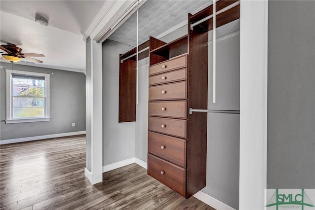 spacious closet with a ceiling fan and wood finished floors