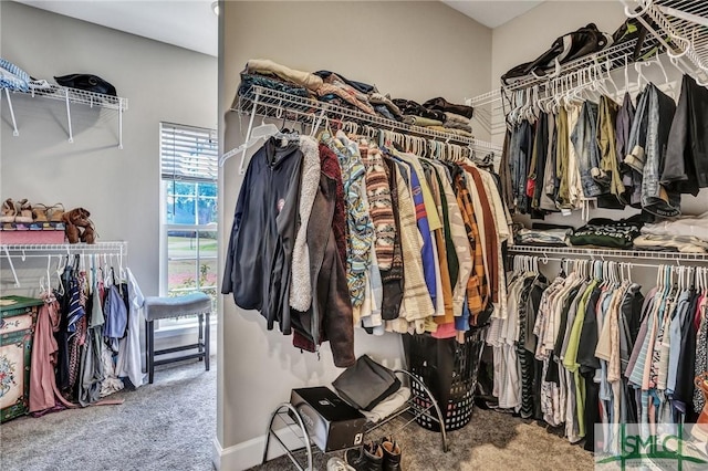 spacious closet with carpet floors