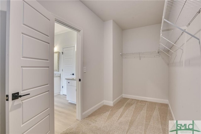 spacious closet with light carpet