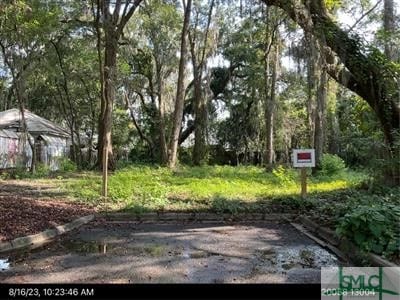 0 Alaska St, Savannah GA, 31404 land for sale