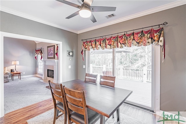 dining space with baseboards, visible vents, a ceiling fan, a fireplace with flush hearth, and ornamental molding