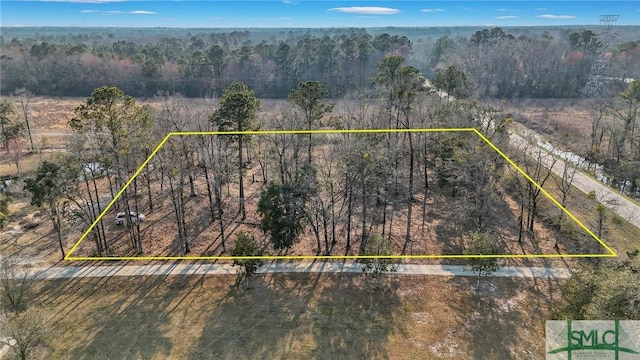 481 Bush Rd, Savannah GA, 31419 land for sale