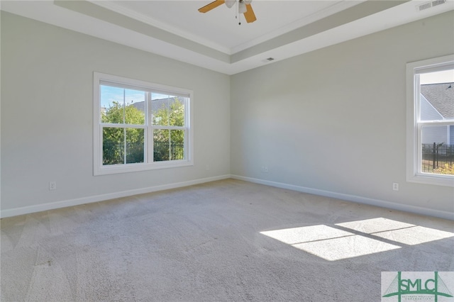 unfurnished room with baseboards, light carpet, a raised ceiling, and a healthy amount of sunlight