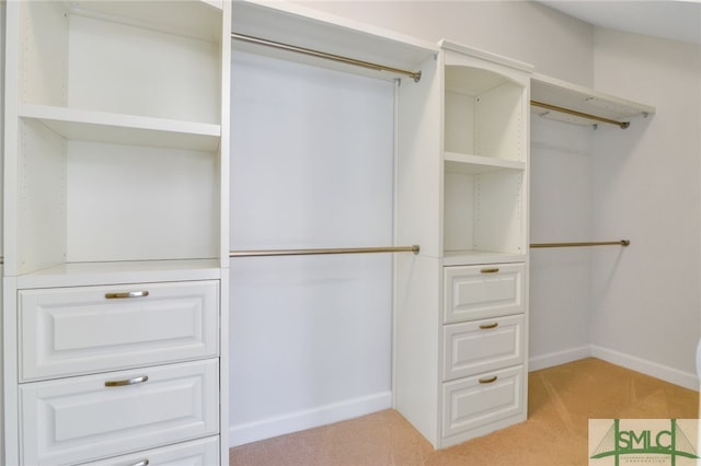 spacious closet with light carpet