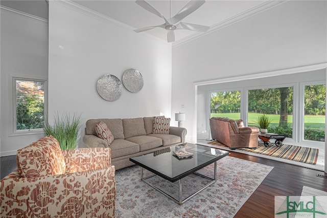 living area with a towering ceiling, a wealth of natural light, wood finished floors, and crown molding