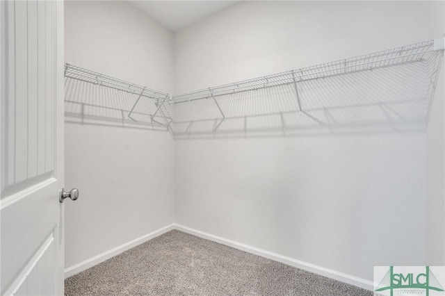 spacious closet featuring carpet flooring