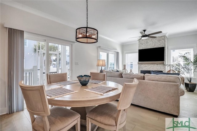 dining space with crown molding, light wood-style floors, a fireplace, and ceiling fan