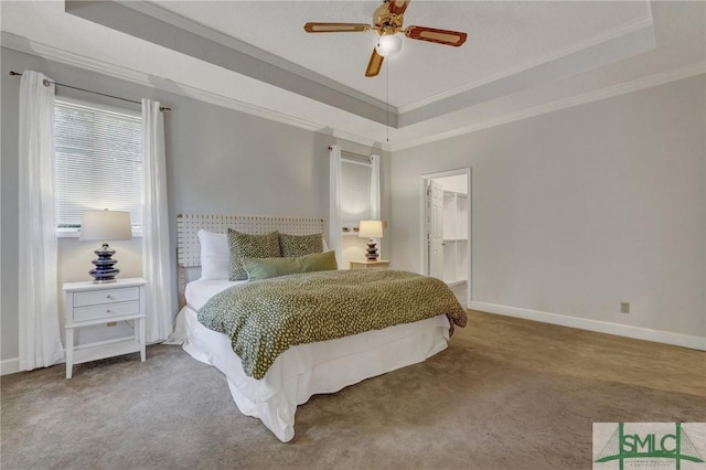 carpeted bedroom featuring a tray ceiling, a walk in closet, crown molding, a ceiling fan, and baseboards