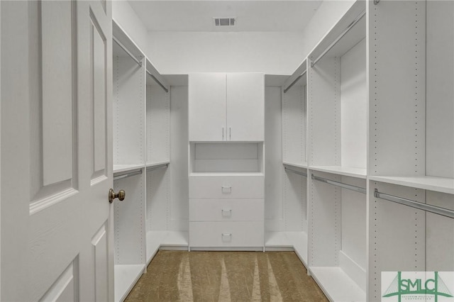 spacious closet with visible vents