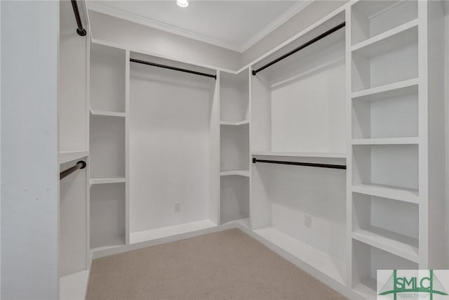 spacious closet with carpet floors