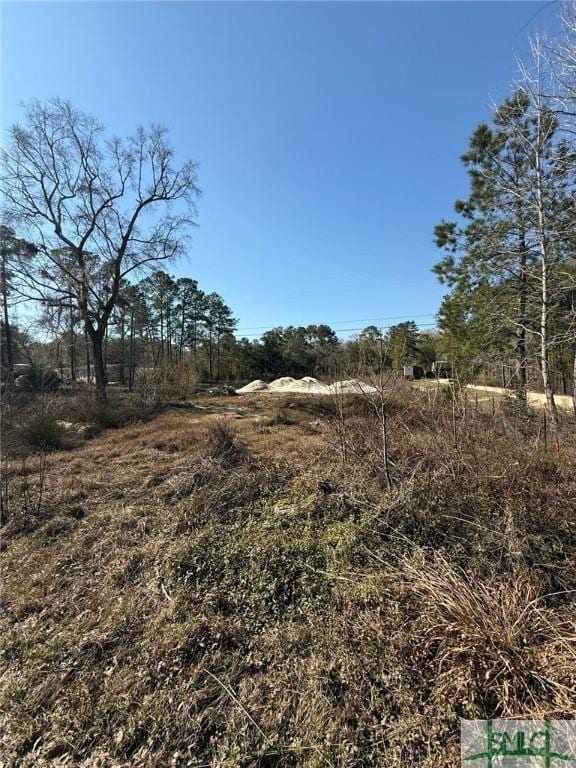 145 Middle Landing Rd, Bloomingdale GA, 31302 land for sale