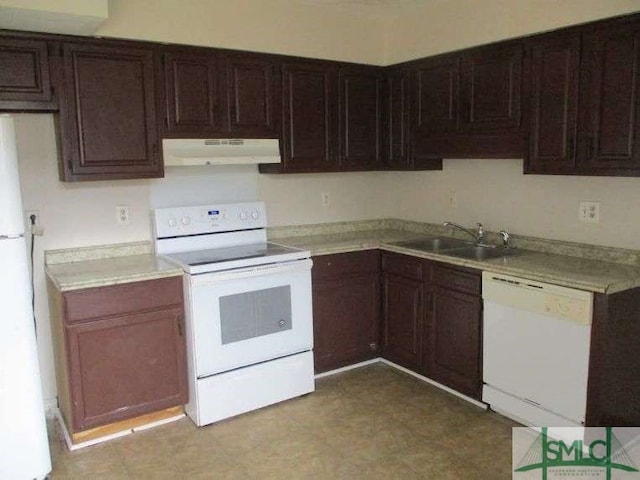 kitchen with white appliances, under cabinet range hood, light countertops, and a sink