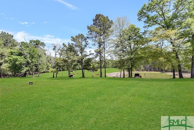 720 Old Dixie Hwy S, Springfield, GA 31329 - view of yard