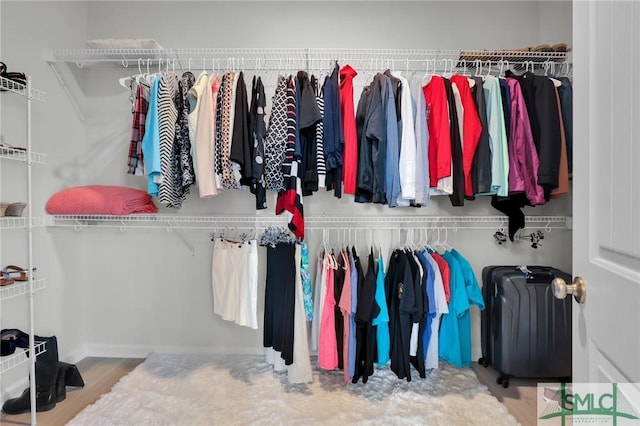 spacious closet featuring wood finished floors