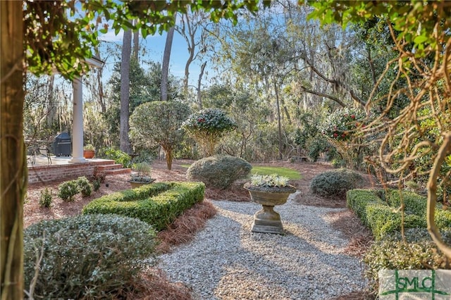 view of yard with a patio area