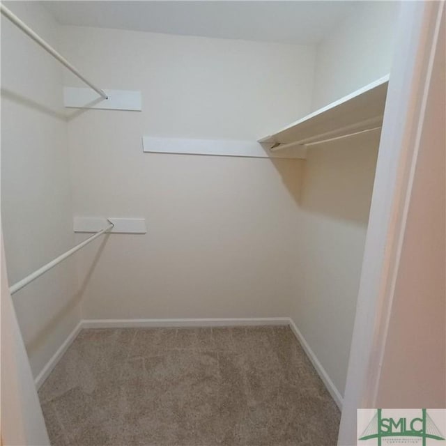 spacious closet featuring carpet flooring