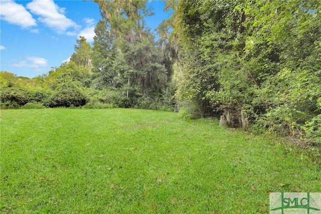 view of yard featuring a forest view