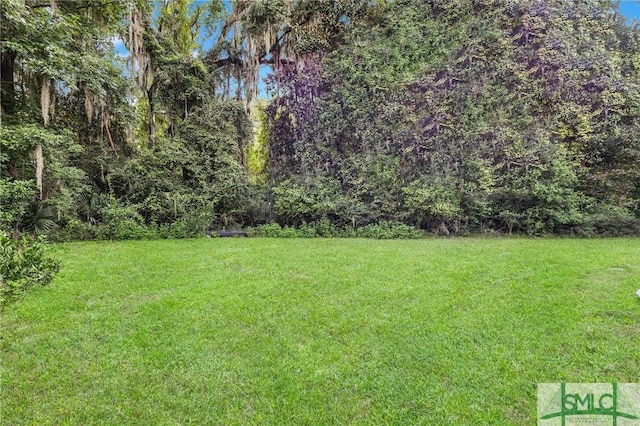 2132 Grove Point Rd, Savannah, GA 31419 - view of yard