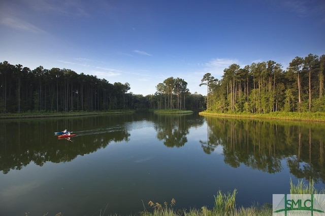 water view featuring a forest view