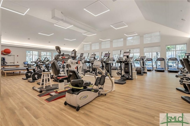 exercise room with high vaulted ceiling and wood finished floors