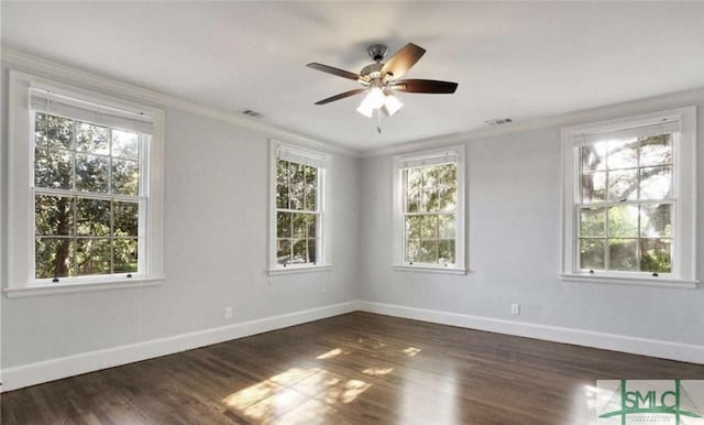 spare room with ornamental molding and a wealth of natural light