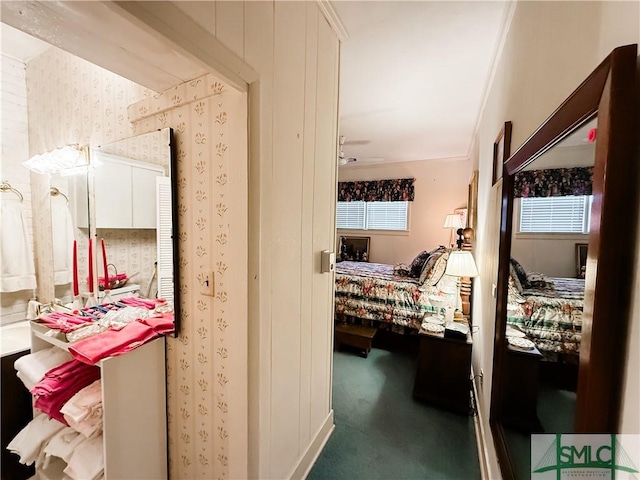 hall with a wealth of natural light and carpet flooring