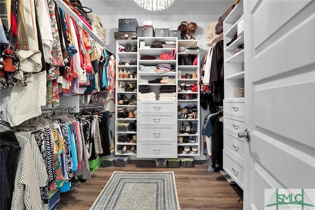 spacious closet featuring dark wood-style floors