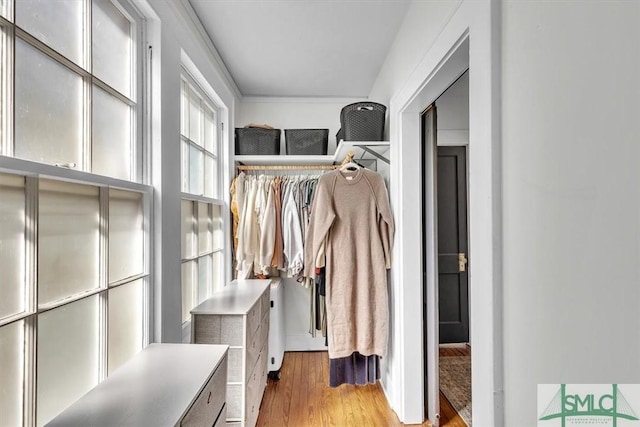 spacious closet featuring light wood finished floors