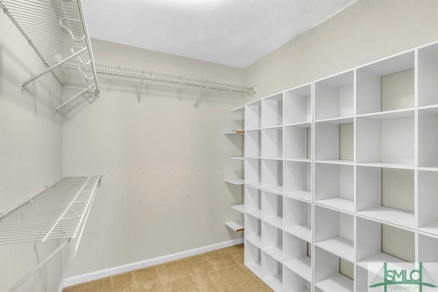 spacious closet featuring carpet floors