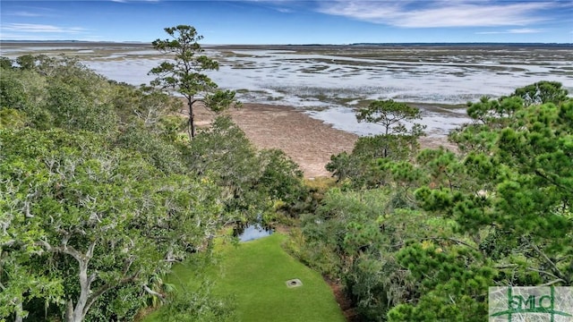 drone / aerial view with a water view