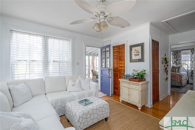 living area featuring crown molding, plenty of natural light, light wood finished floors, and ceiling fan