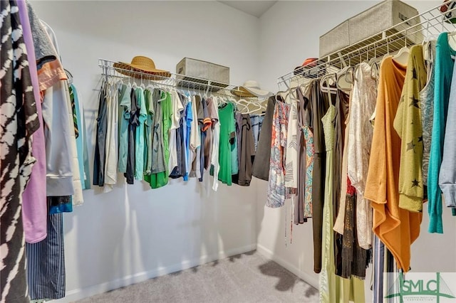 spacious closet with carpet flooring