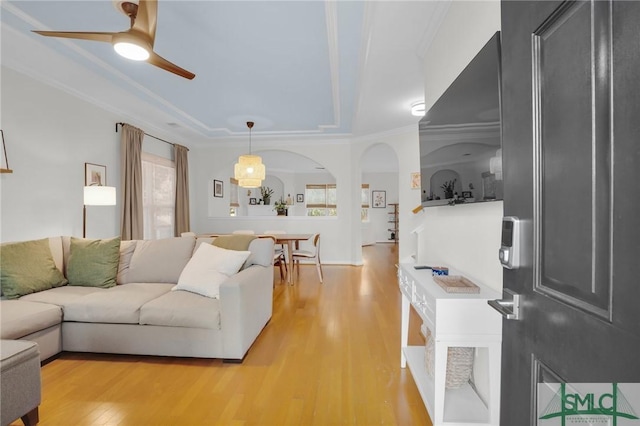 living area with ornamental molding, light wood-type flooring, a raised ceiling, and a healthy amount of sunlight