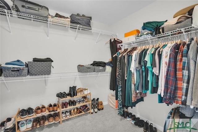 spacious closet featuring carpet flooring