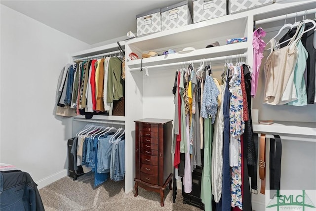 spacious closet with carpet floors