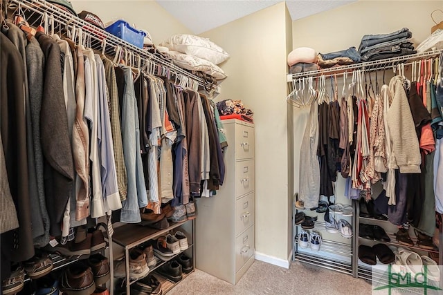 walk in closet featuring carpet floors