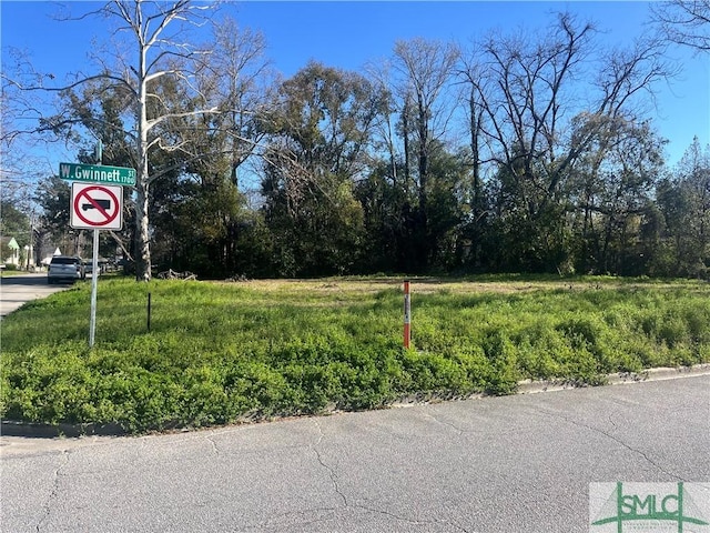 18 Chapman St, Savannah GA, 31415 land for sale