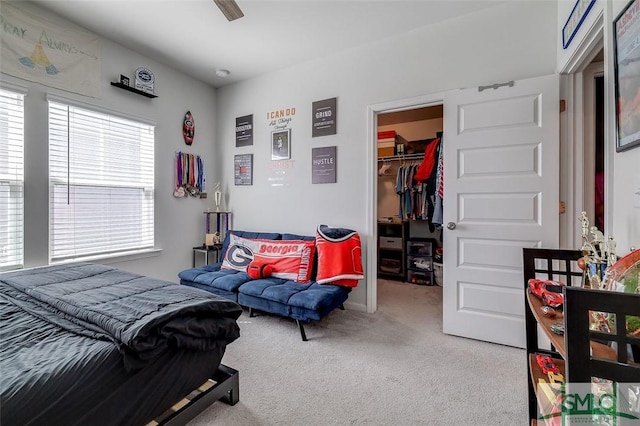 bedroom with ceiling fan, a spacious closet, a closet, and carpet