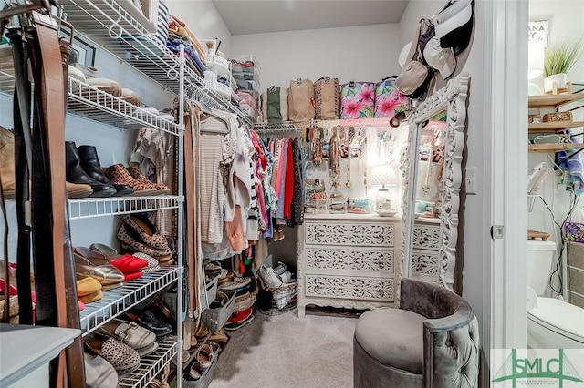 spacious closet featuring carpet