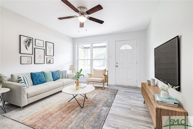 living area with a ceiling fan and light wood finished floors