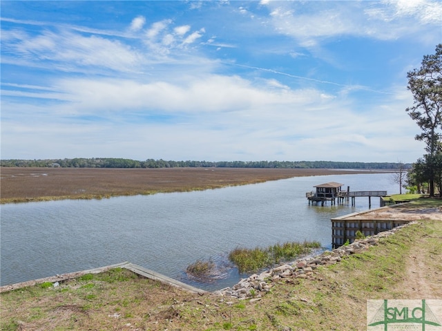 748 Tivoli Trail Rd, Richmond Hill, GA 31324