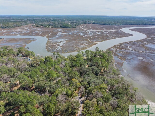 748 Tivoli Trail Rd, Richmond Hill, GA 31324