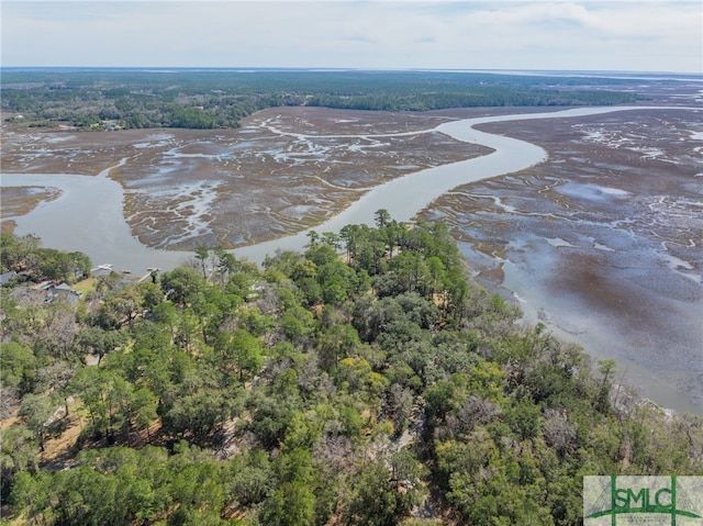 748 Tivoli Trail Rd, Richmond Hill, GA 31324