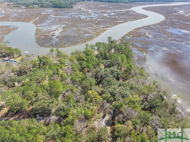 748 Tivoli Trail Rd, Richmond Hill, GA 31324
