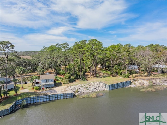 748 Tivoli Trail Rd, Richmond Hill, GA 31324