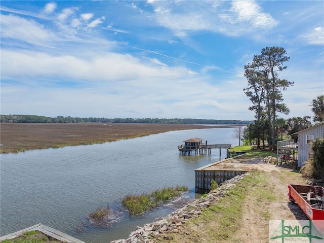 748 Tivoli Trail Rd, Richmond Hill, GA 31324