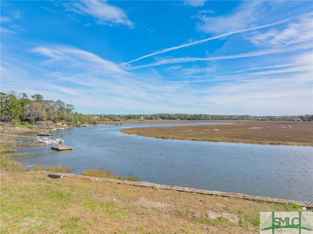 748 Tivoli Trail Rd, Richmond Hill, GA 31324