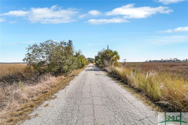 126 Grove Point Island Rd, Savannah, GA 31419 - view of asphalt street featuring a view of rural / pastoral area
