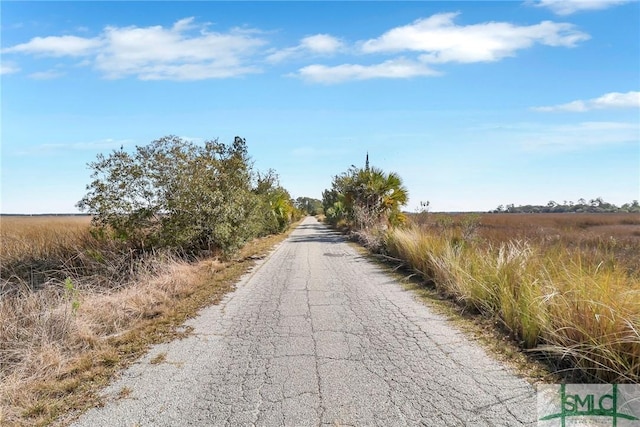 126 Grove Point Island Rd, Savannah, GA 31419 - photo 47