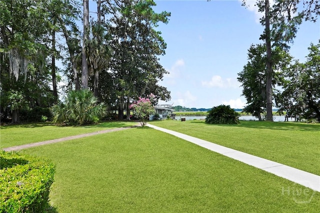 126 Grove Point Island Rd, Savannah, GA 31419 - photo 19